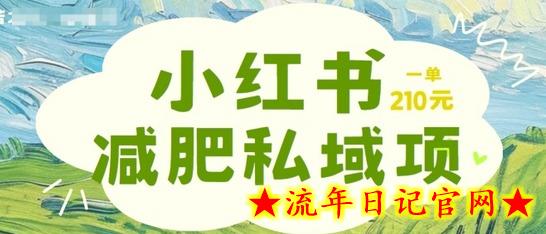 小红书减肥粉，私域变现项目，一单就达210元，小白也能轻松上手-流年日记