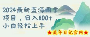 国学项目,长期蓝海可矩阵,从0-1的过程-流年日记