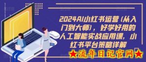 2024AI小红书运营(从入门到大师),好学好用的人工智能实战应用课,小红书平台策略详解-流年日记