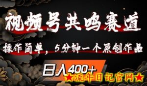 视频号共鸣赛道，操作简单，5分钟1个原创作品，日入几张-流年日记