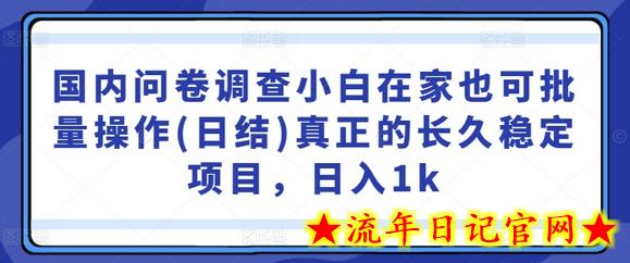 国内问卷调查小白在家也可批量操作(日结)真正的长久稳定项目，日入1k-流年日记