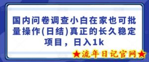 国内问卷调查小白在家也可批量操作(日结)真正的长久稳定项目,日入1k-流年日记