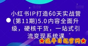 小红书IP打造60天实战营(第11期)5.0内容全面升级,硬核干货,一站式引流变现系统课-流年日记