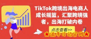 TikTok跨境出海电商人成长摇篮,汇聚跨境强者,出海打破内卷-流年日记