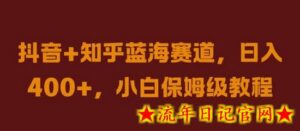 抖音+知乎蓝海赛道,日入几张,小白保姆级教程-流年日记