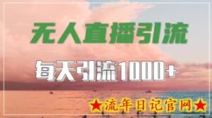 抖音快手视频号全平台通用,无人直播引流法,超暴力引流1000+高质量精准创业粉-流年日记