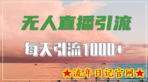 抖音快手视频号全平台通用，无人直播引流法，超暴力引流1000+高质量精准创业粉-流年日记