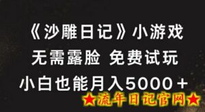 《沙雕日记》小游戏,无需露脸免费试玩,小白也能月入5000+-流年日记
