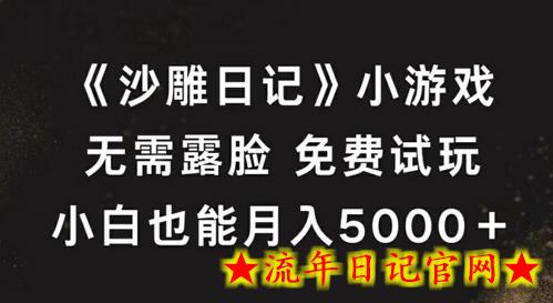 《沙雕日记》小游戏，无需露脸免费试玩，小白也能月入5000+-流年日记