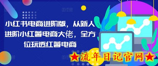 小红书电商进阶版，从新人进阶小红薯电商大佬，全方位玩透红薯电商-流年日记