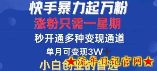 快手暴力起万粉，涨粉只需一星期，多种变现模式，直接秒开万合，单月变现过W-流年日记