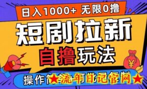 2024短剧拉新自撸玩法,无需注册登录,无限零撸,批量操作日入过千-流年日记