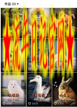 动物科普解说项目，撸创作者伙伴计划收益，保姆级实战教程插图(1)