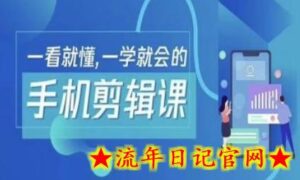 抖音手机剪辑运营变现课,一看就懂,一学就会的-流年日记