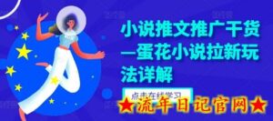 小说推文推广干货—蛋花小说拉新玩法详解-流年日记