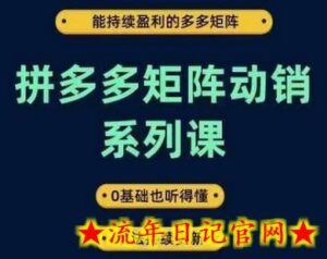 拼多多矩阵动销系列课,能持续盈利的多多矩阵,0基础也听得懂,玩法持续更新-流年日记