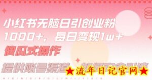 小红书无脑每日引流创业粉500+,小白每天只花半小时,躺赚长尾收益-流年日记