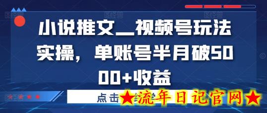 小说推文—视频号玩法实操，单账号半月破5000+收益-流年日记