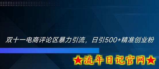 双十一电商评论区暴力引流，日引500+精准创业粉-流年日记