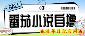最新番茄小说自撸玩法,无需手机,无需双清,成本极低日入200+-流年日记
