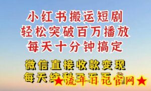 小红书搬运热门短剧,轻松爆流百万播放,每天引流几十人,搞个大几百块真的很简单-流年日记