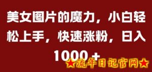 美女图片的魔力,小白轻松上手,快速涨粉,日入几张-流年日记