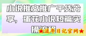 小说推文推广干货分享,蛋花小说短篇实操流程-流年日记