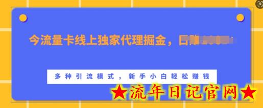 流量卡线上独家代理掘金，日入1k+ ，多种引流模式，新手小白轻松上手-流年日记