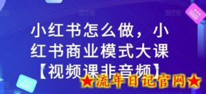 小红书怎么做,小红书商业模式大课【视频课非音频】-流年日记