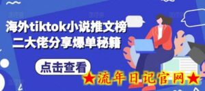 海外tiktok小说推文榜二大佬分享爆单秘籍-流年日记