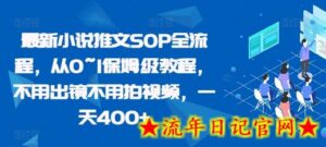 最新小说推文SOP全流程,从0~1保姆级教程,不用出镜不用拍视频,一天400+-流年日记