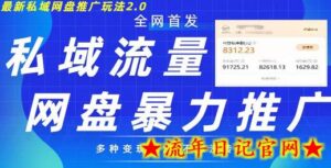 最新暴力私域网盘拉新玩法2.0,多种变现模式,并打造私域回流,轻松日入500+-流年日记