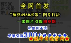 小红书“预算4980带我飞”图片打法,一张图片引爆创业粉,私信回不完,单条引流300+精准创业粉-流年日记