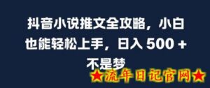 抖音小说推文全攻略，小白也能轻松上手，日入 5张+ 不是梦-流年日记