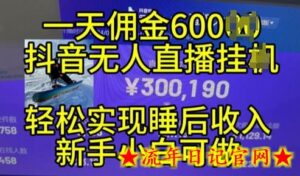 2024年11月抖音无人直播带货挂JI,小白的梦想之路,全天24小时收益不间断实现真正管道收益-流年日记