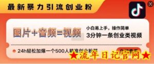 抖音最新暴力引流创业粉,3分钟一条创业类视频,24h轻松加爆一个500人精准创业粉群-流年日记