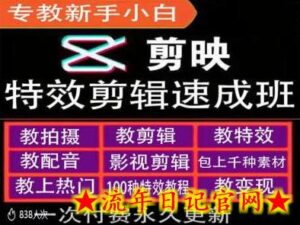 剪映特效教程和运营变现教程,特效剪辑速成班,专教新手小白-流年日记