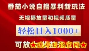番茄小说自撸暴利新玩法,无视播放量,轻松日入1k,可放大,收益无上限-流年日记
