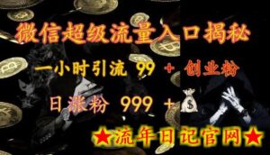 微信超级流量入口揭秘:一小时引流 99 + 创业粉,日涨粉 999 +-流年日记