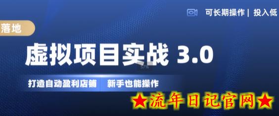 虚拟项目实战3.0，打造自动盈利店铺，可长期操作投入低，新手也能操作-流年日记
