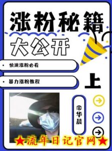 最新AI美女玩法,颜值暴力涨粉教程,涨粉秘籍大公开-流年日记