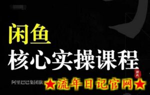2024闲鱼核心实操课程,从养号、选品、发布、销售,教你做一个出单的闲鱼号-流年日记