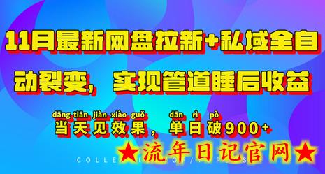 11月最新网盘拉新+私域全自动裂变，实现管道睡后收益，当天见效果，单日破900+-流年日记