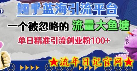 豆瓣蓝海引流平台，一个被忽略的流量大鱼塘，单日精准引流创业粉100+-流年日记