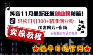 抖音11月最新狂揽创业粉秘籍,轻松日引300+精准创业粉,仅需图片+音频,轻松搞定创业类视频-流年日记