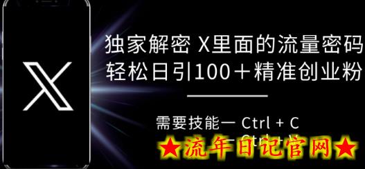 独家解密 X 里面的流量密码，复制粘贴轻松日引100+-流年日记