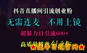 抖音直播间引流创业粉，无需连麦、无需上镜，超暴力日引流600+高质量精准创业粉-流年日记