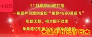 小红书11月最新图片打粉，一张图片引爆创业粉，“预算4980带我飞”，单条引流500+精准创业粉-流年日记