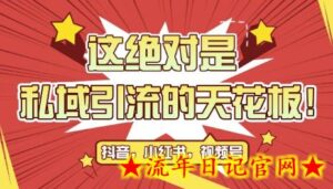 最新首发全平台引流玩法,公域引流私域玩法,轻松获客500+,附引流脚本,克隆截流自热玩法-流年日记