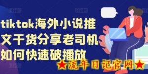 tiktok海外小说推文干货分享,老司机如何快速破播放-流年日记